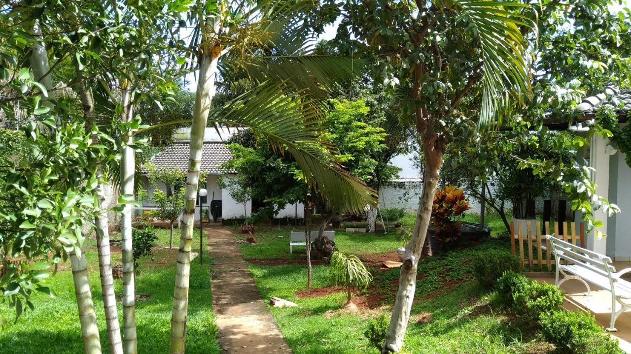 Alt House Qi 02 Norte